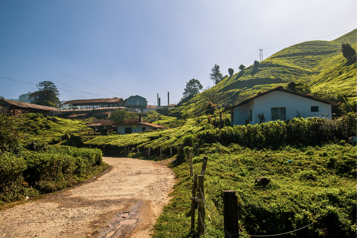 Kerala - Senior Citizen Special